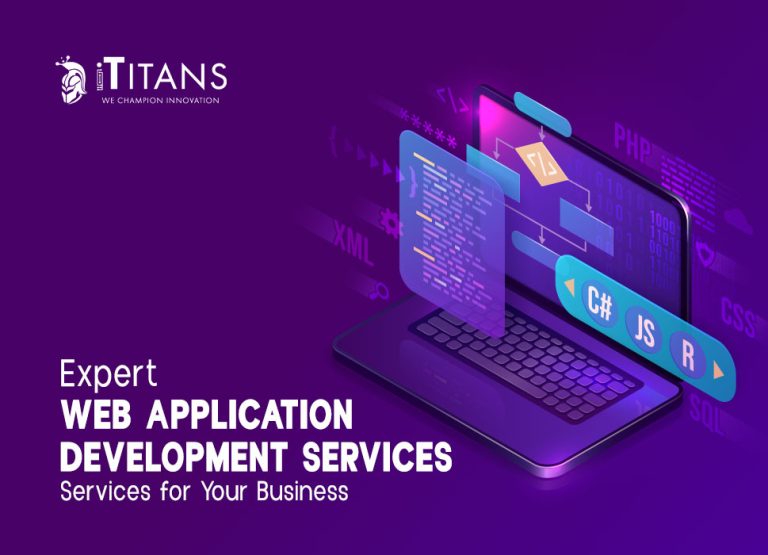 web application development services