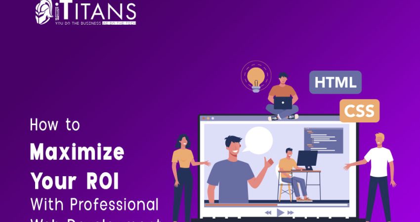 professional web development