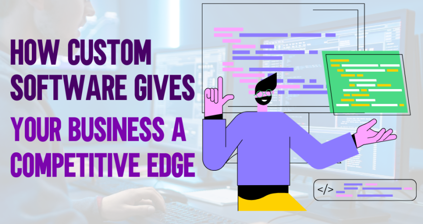 Custom Software Development in USA