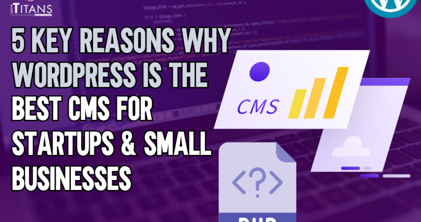 wordpress for startups
